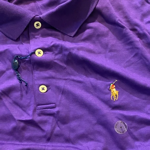 Polo by Ralph Lauren Classic Fit Shirt in Rich Purple - Picture 3 of 4